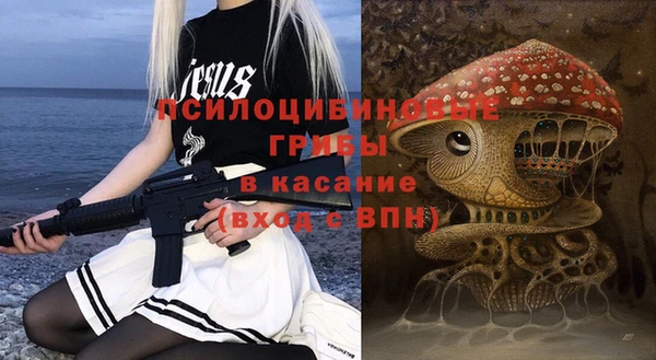 гидропоника Инта
