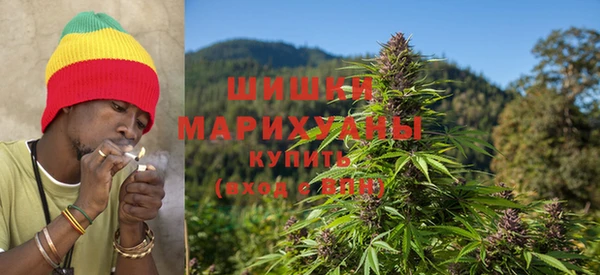 гидропоника Инта