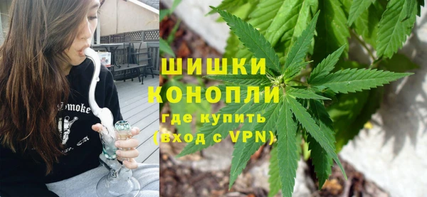гидропоника Инта
