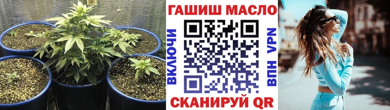 магазин    Чусовой  Дистиллят ТГК THC oil 