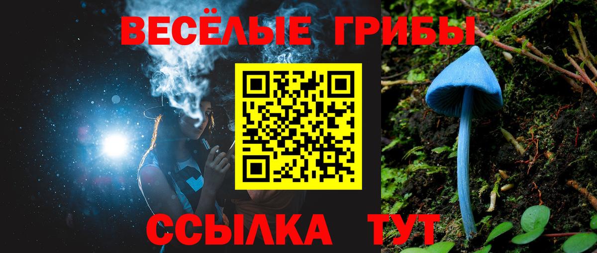 Галлюциногенные грибы Psilocybe  Вход с VPN  Галлюциногенные грибы Magic Shrooms  Чусовой 